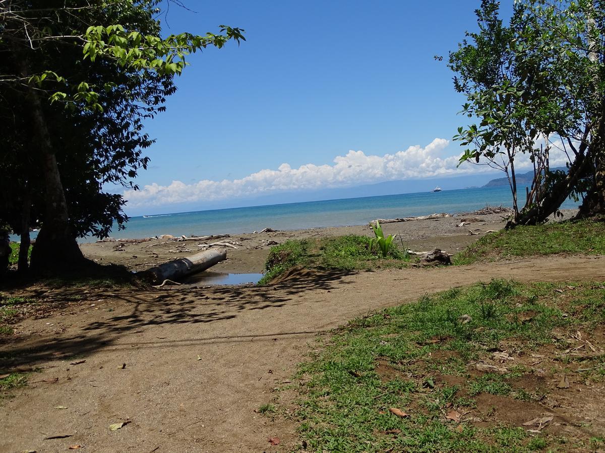Osa Tucan Drake Drake Bay Bagian luar foto