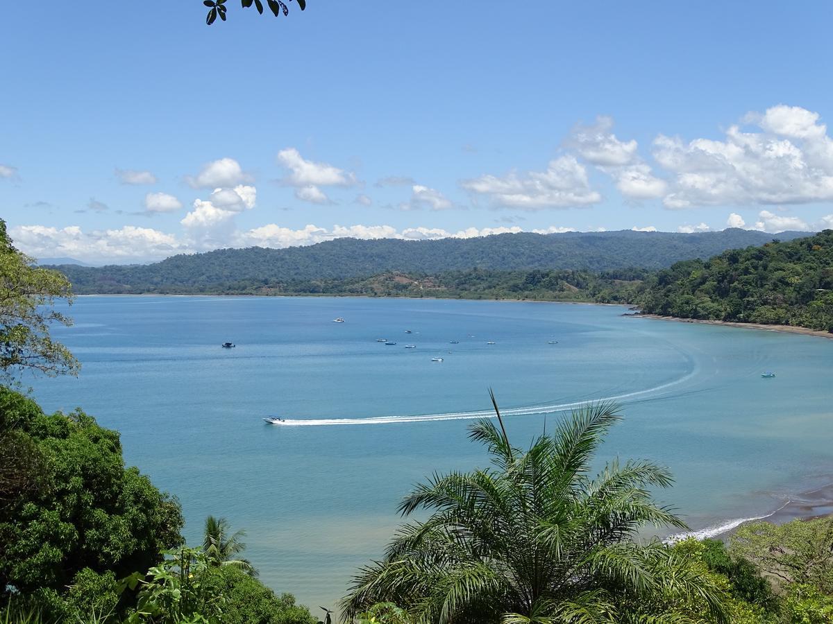 Osa Tucan Drake Drake Bay Bagian luar foto
