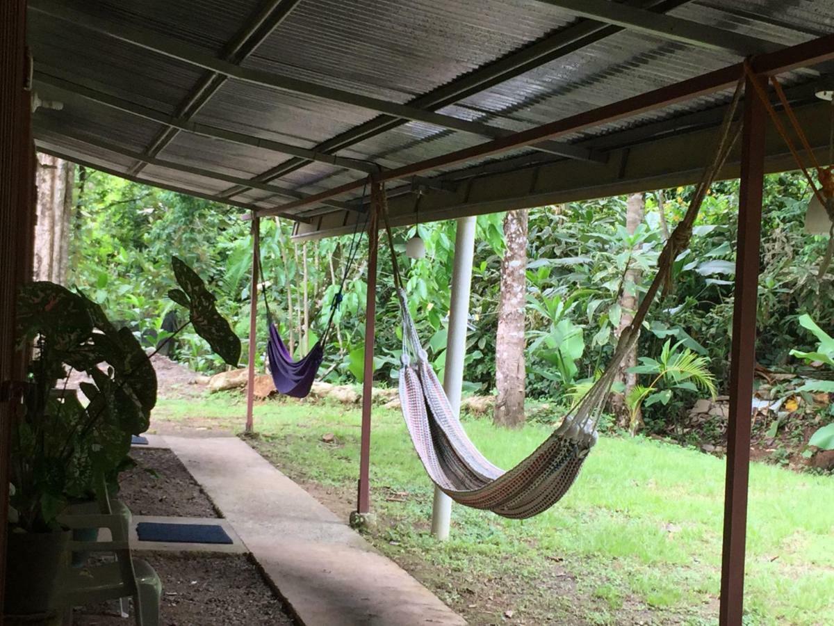 Osa Tucan Drake Drake Bay Bagian luar foto